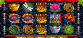Will you be carping on about how good Lucky Koi is this January?